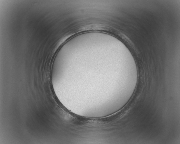 X0000080781081200701122115