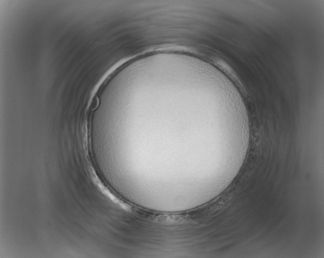 X0000080781092200701122115