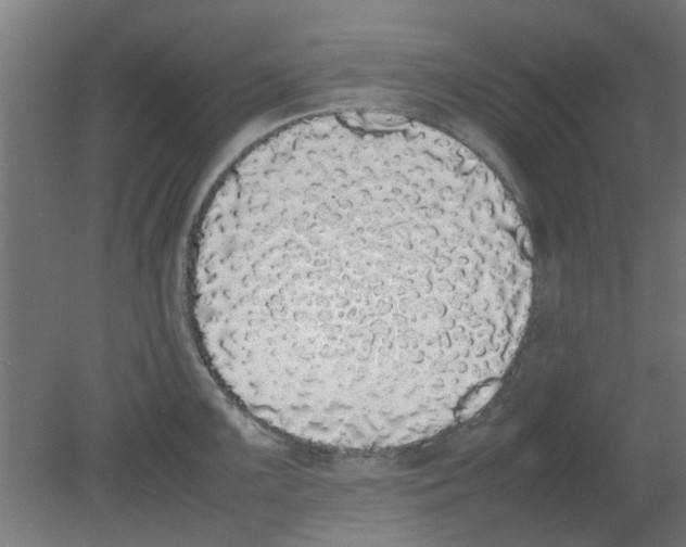X0000080781099200701122115