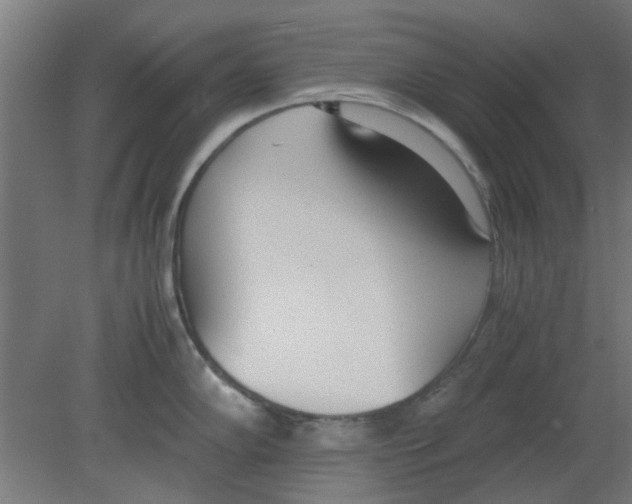 X0000080781102200701122115