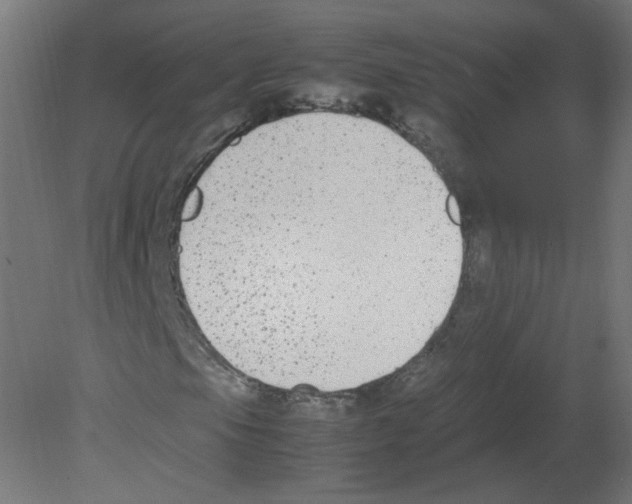 X0000080781105200701122114
