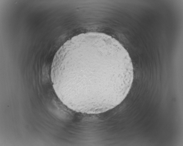 X0000080781106200701122114
