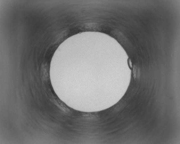 X0000080781107200701122114