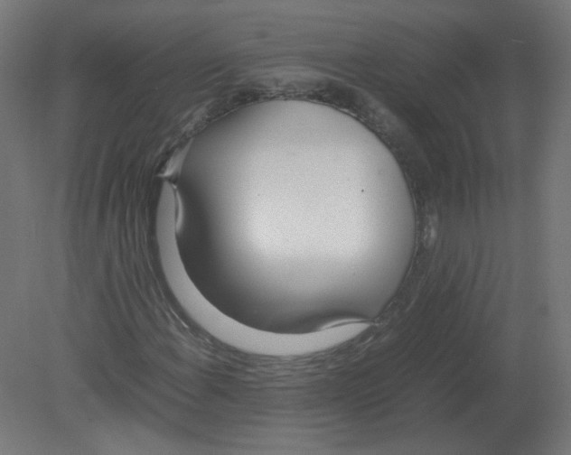 X0000080781108200701122114