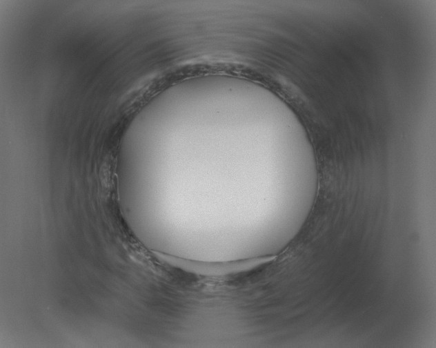 X0000080781110200701122114