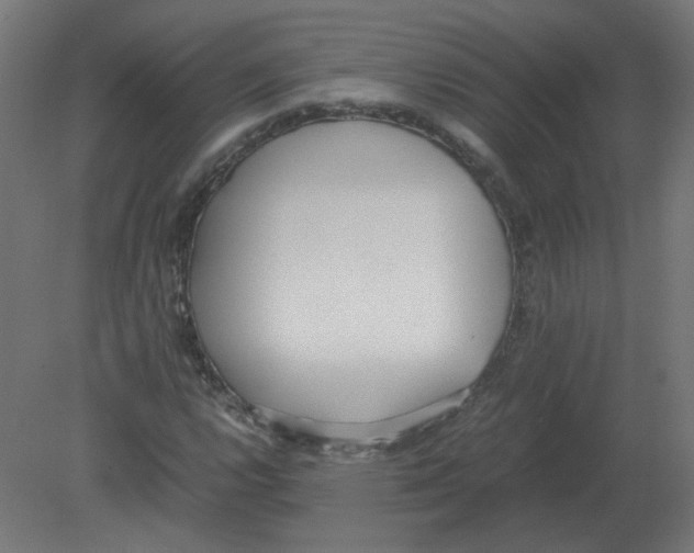 X0000080781112200701122114