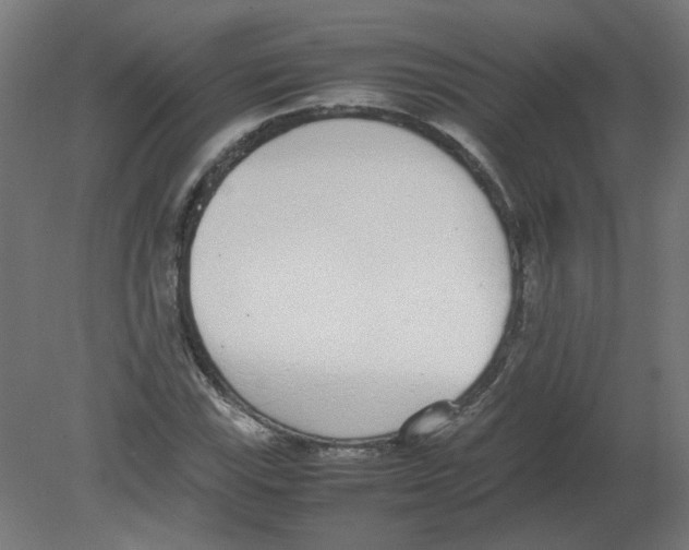 X0000080781115200701122114
