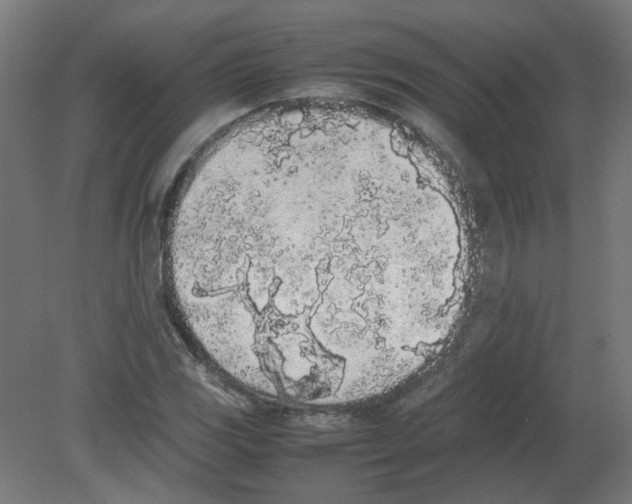 X0000080781117200701122114