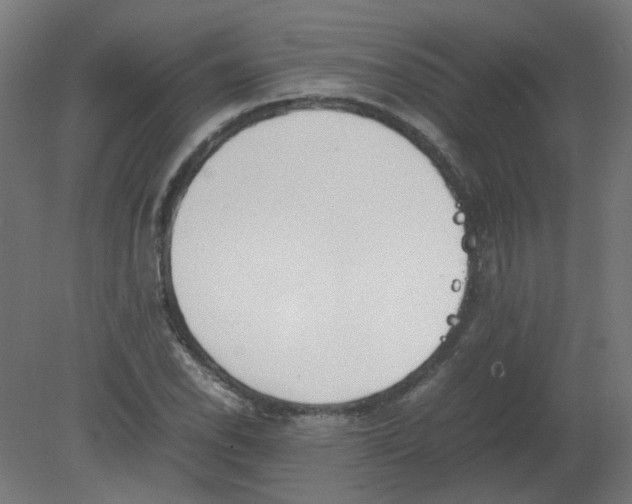 X0000080781118200701122114