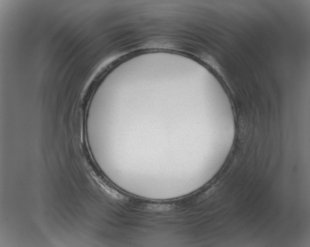 X0000080781123200701122114