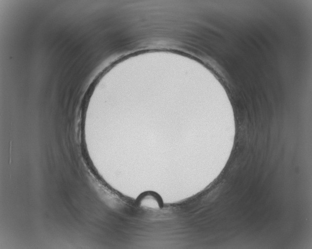 X0000080781126200701122114