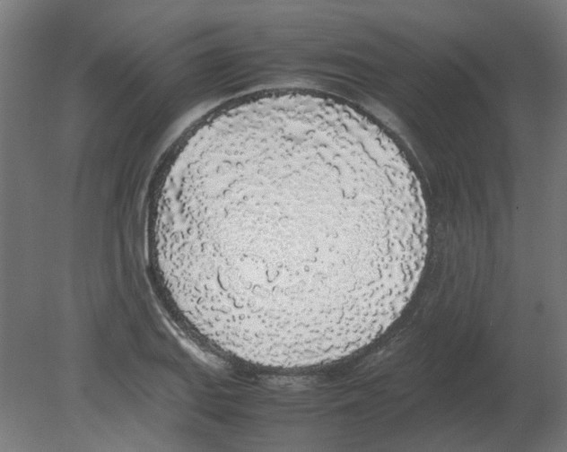 X0000080781127200701122114