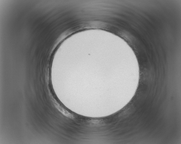 X0000080781130200701122114