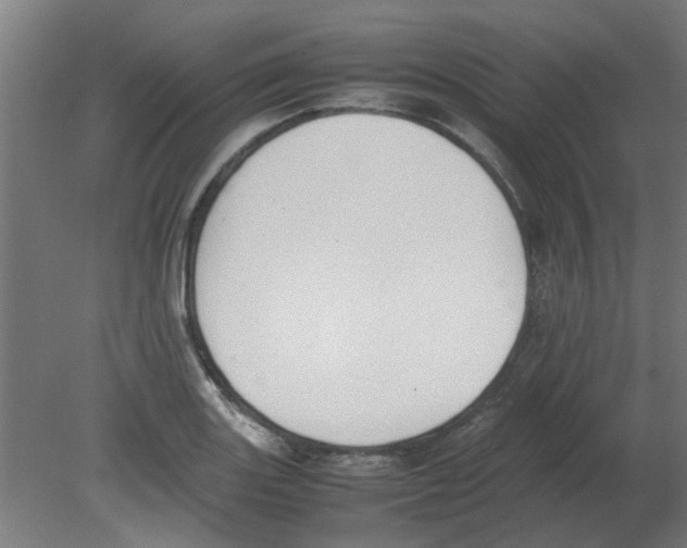 X0000080781131200701122114