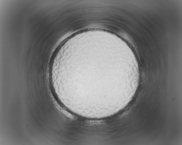X0000080781133200701122115