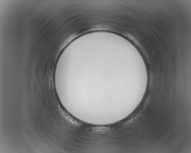 X0000080781137200701122115