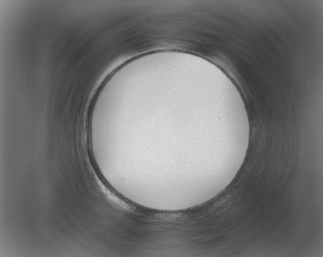 X0000080781143200701122115