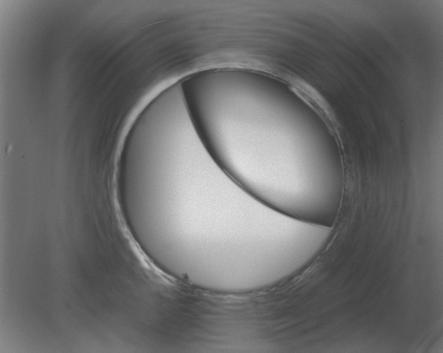 X0000080781144200701122115
