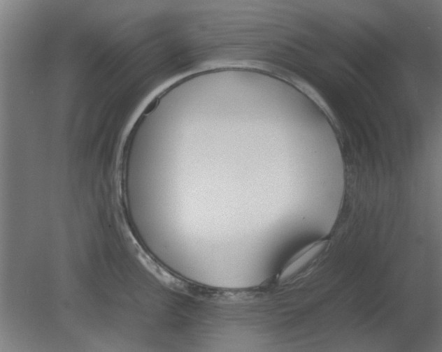 X0000080781148200701122115