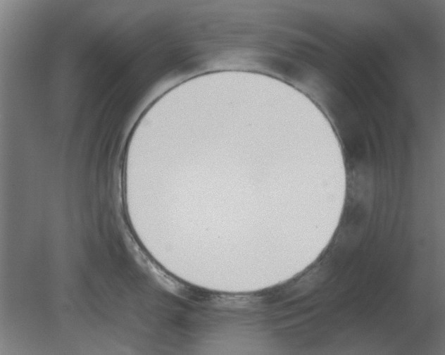 X0000080781150200701122115