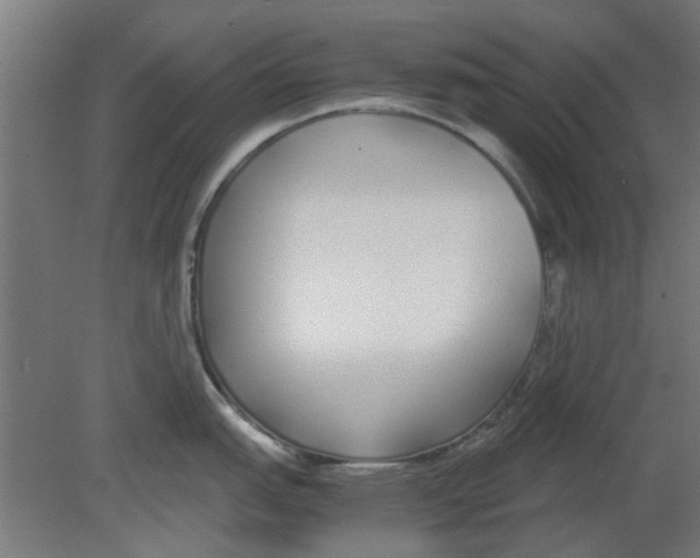 X0000080781151200701122115