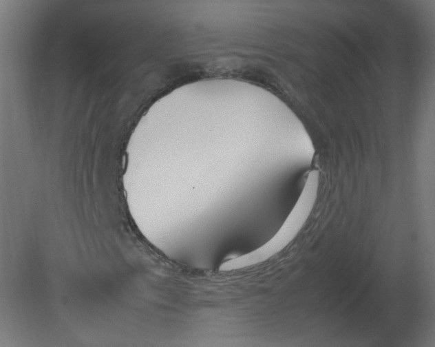 X0000080781153200701122114