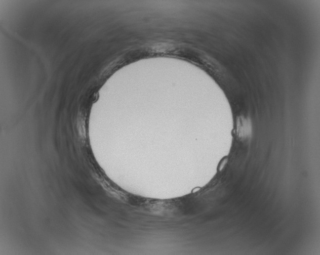 X0000080781155200701122114