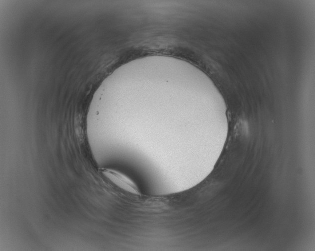X0000080781156200701122114