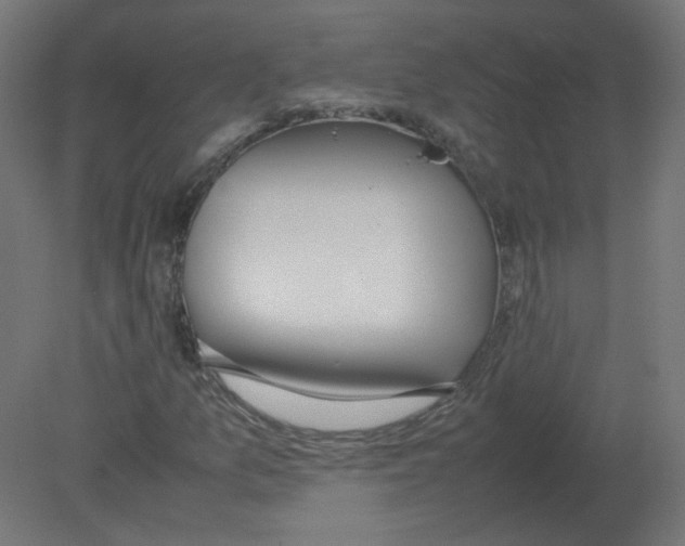 X0000080781157200701122114