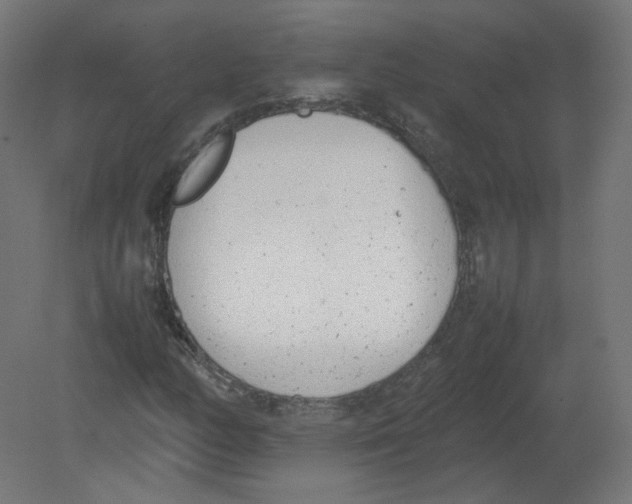 X0000080781158200701122114