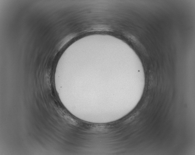 X0000080781162200701122114