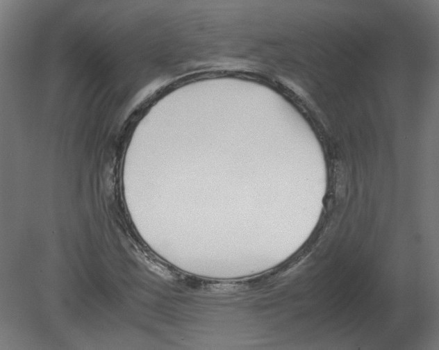 X0000080781163200701122114