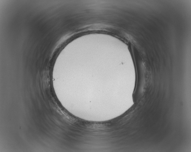 X0000080781164200701122114