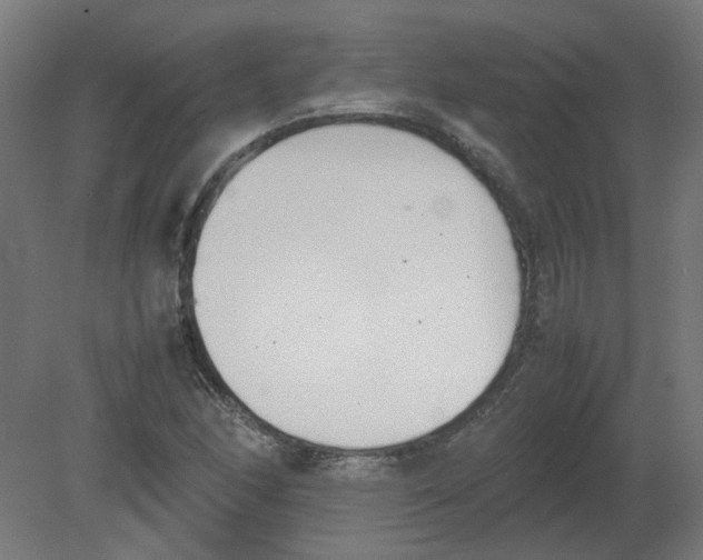 X0000080781166200701122114
