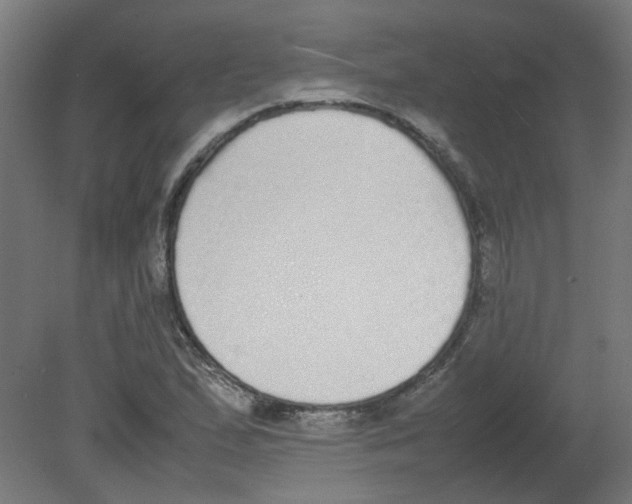 X0000080781167200701122114