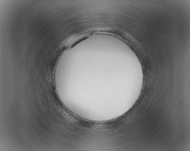 X0000080781169200701122114