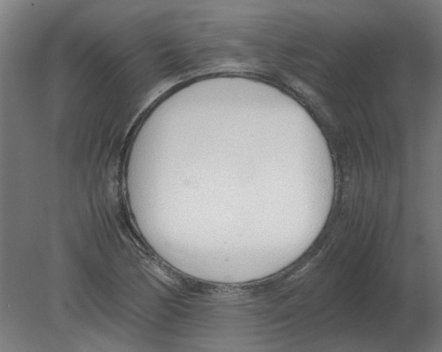 X0000080781170200701122114