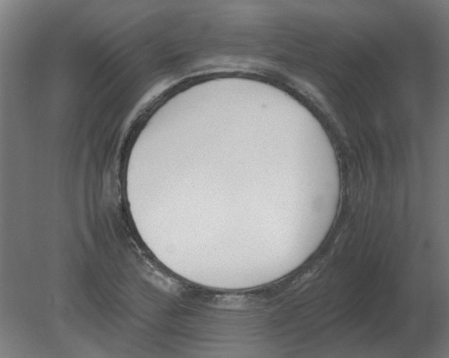X0000080781172200701122114