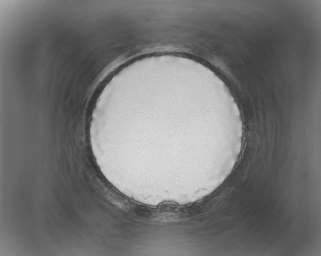 X0000080781173200701122114