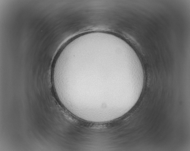 X0000080781174200701122114