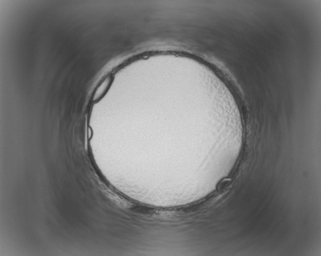 X0000080781175200701122114