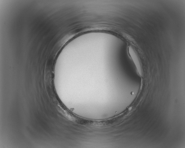 X0000080781177200701122114