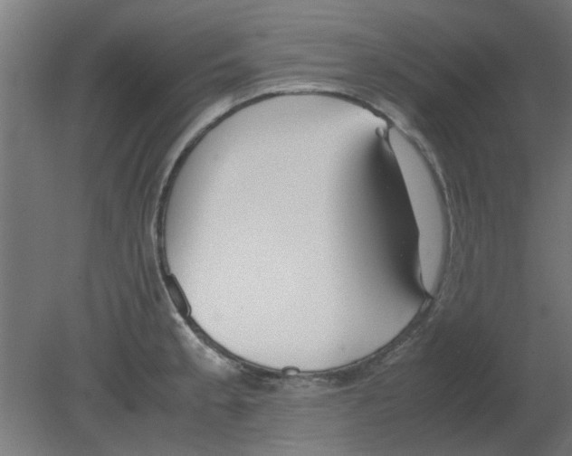 X0000080781189200701122113