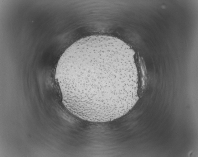 X0000080781202200701122112