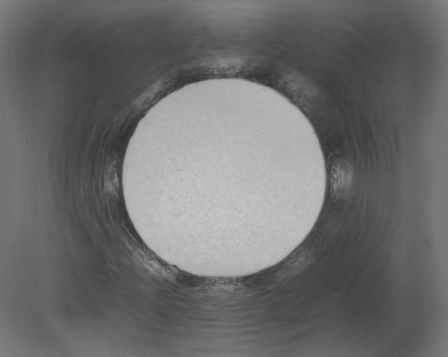 X0000080781204200701122112