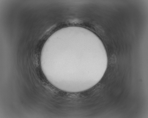 X0000080781205200701122112