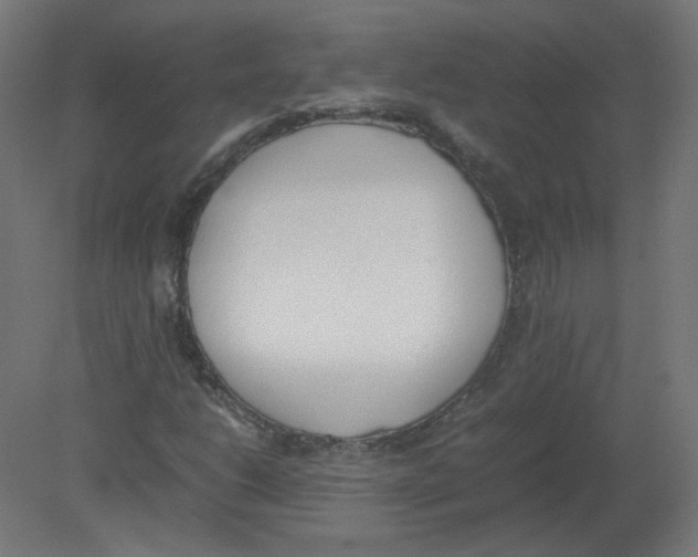 X0000080781206200701122113