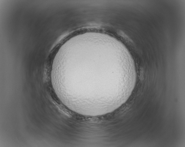 X0000080781208200701122113