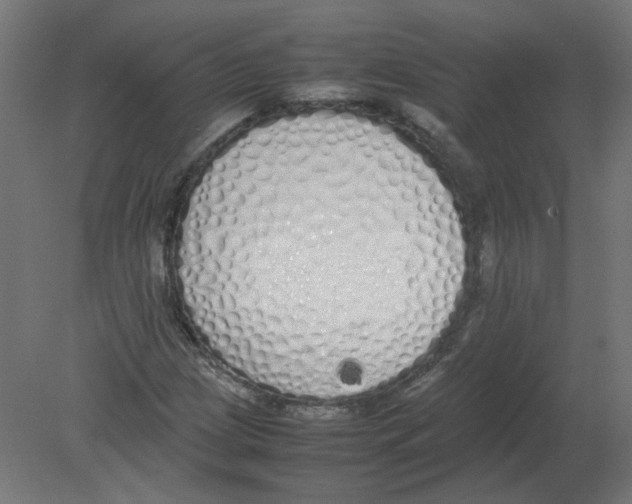 X0000080781209200701122113