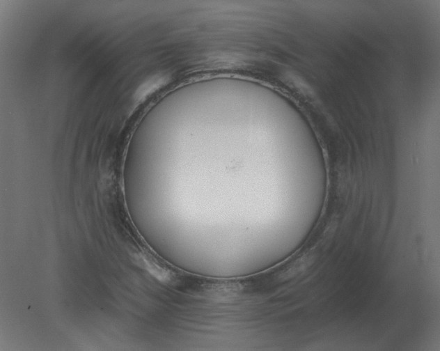 X0000080781210200701122113